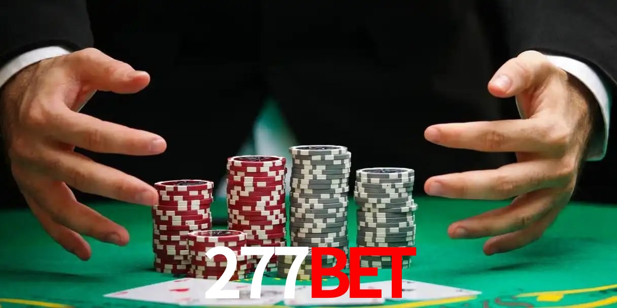 277bet telegram
